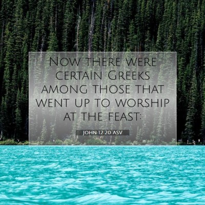 Picture 07 - John 12:20 ASV - Now there were certain Greeks among those that - Bible Verse Picture