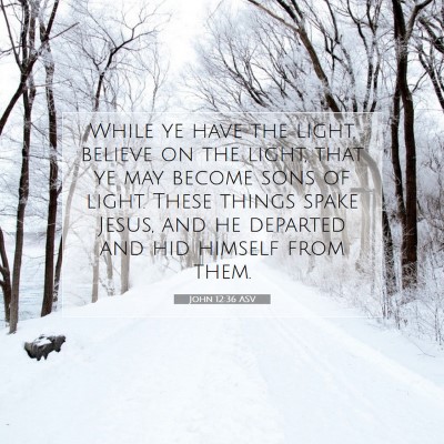 Picture 07 - John 12:36 ASV - While ye have the light, believe on the light, - Bible Verse Picture