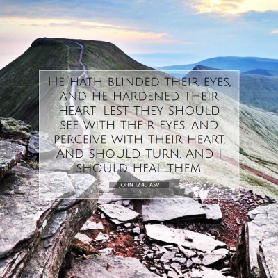 Picture 07 - John 12:40 ASV - He hath blinded their eyes, and he hardened their - Bible Verse Picture