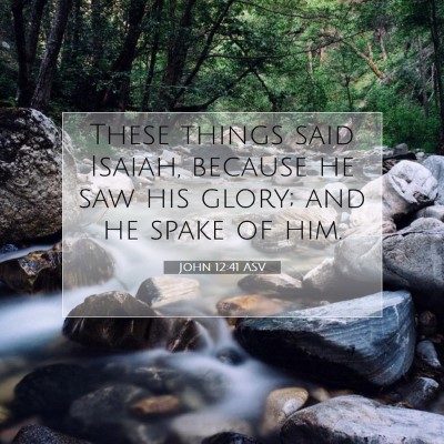 Picture 07 - John 12:41 ASV - These things said Isaiah, because he saw his - Bible Verse Picture
