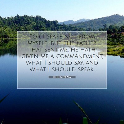 Picture 07 - John 12:49 ASV - For I spake not from myself; but the Father that - Bible Verse Picture