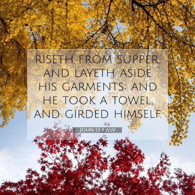 Picture 07 - John 13:4 ASV - riseth from supper, and layeth aside his - Bible Verse Picture