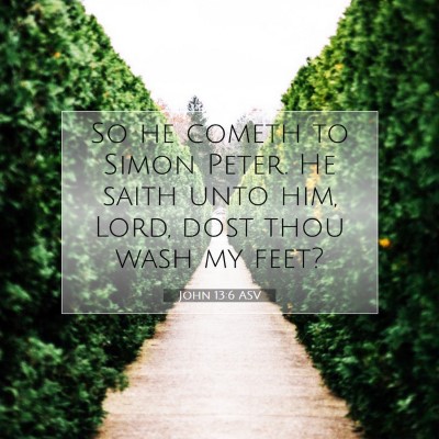 Picture 07 - John 13:6 ASV - So he cometh to Simon Peter. He saith unto him, - Bible Verse Picture