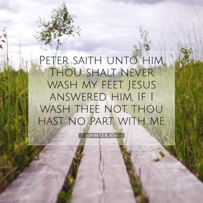 Picture 07 - John 13:8 ASV - Peter saith unto him, Thou shalt never wash my - Bible Verse Picture