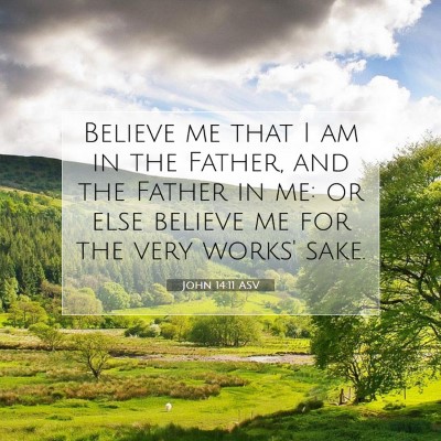 Picture 07 - John 14:11 ASV - Believe me that I am in the Father, and the - Bible Verse Picture
