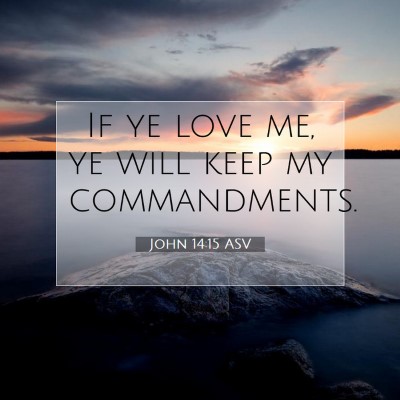 Picture 07 - John 14:15 ASV - If ye love me, ye will keep my - Bible Verse Picture