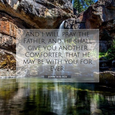 Picture 07 - John 14:16 ASV - And I will pray the Father, and he shall give you - Bible Verse Picture