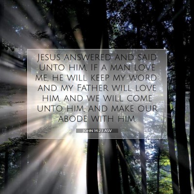 Picture 07 - John 14:23 ASV - Jesus answered and said unto him, If a man love - Bible Verse Picture