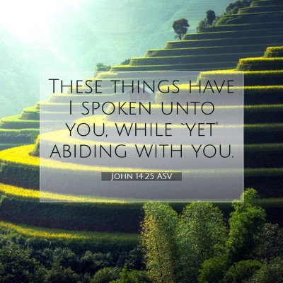 Picture 07 - John 14:25 ASV - These things have I spoken unto you, while `yet' - Bible Verse Picture
