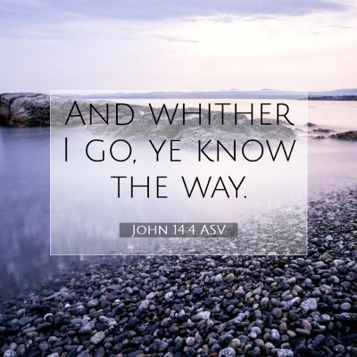 Picture 07 - John 14:4 ASV - And whither I go, ye know the - Bible Verse Picture