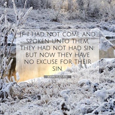 Picture 07 - John 15:22 ASV - If I had not come and spoken unto them, they had - Bible Verse Picture
