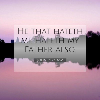 Picture 07 - John 15:23 ASV - He that hateth me hateth my Father - Bible Verse Picture