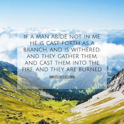 Picture 07 - John 15:6 ASV - If a man abide not in me, he is cast forth as a - Bible Verse Picture