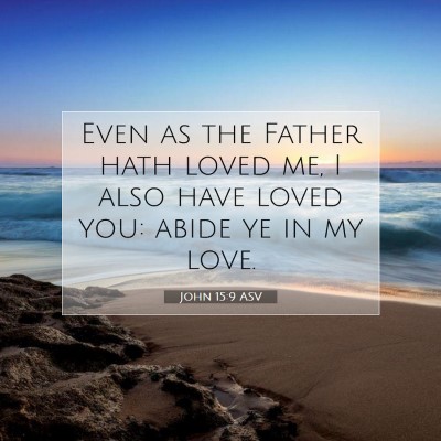 Picture 07 - John 15:9 ASV - Even as the Father hath loved me, I also have - Bible Verse Picture