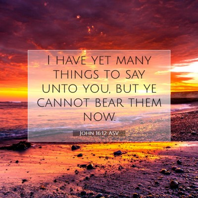 Picture 07 - John 16:12 ASV - I have yet many things to say unto you, but ye - Bible Verse Picture