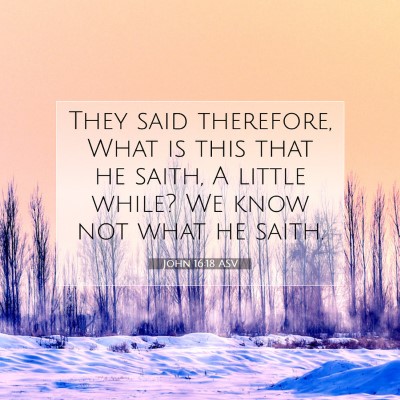 Picture 07 - John 16:18 ASV - They said therefore, What is this that he saith, - Bible Verse Picture