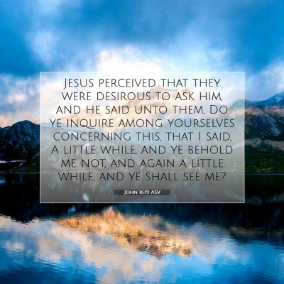 Picture 07 - John 16:19 ASV - Jesus perceived that they were desirous to ask - Bible Verse Picture