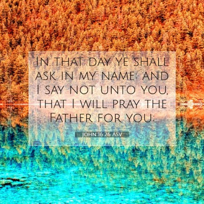 Picture 07 - John 16:26 ASV - In that day ye shall ask in my name: and I say - Bible Verse Picture