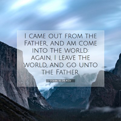 Picture 07 - John 16:28 ASV - I came out from the Father, and am come into the - Bible Verse Picture