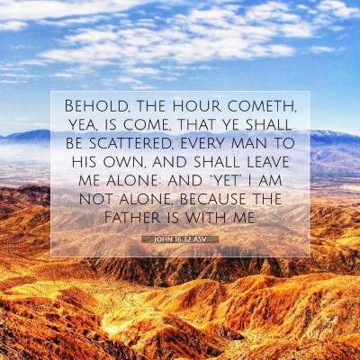 Picture 07 - John 16:32 ASV - Behold, the hour cometh, yea, is come, that ye - Bible Verse Picture
