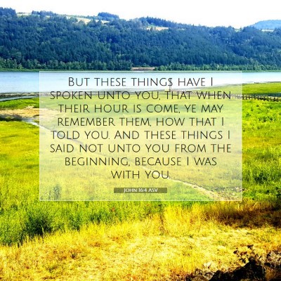 Picture 07 - John 16:4 ASV - But these things have I spoken unto you, that - Bible Verse Picture