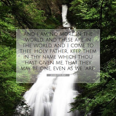 Picture 07 - John 17:11 ASV - And I am no more in the world, and these are in - Bible Verse Picture