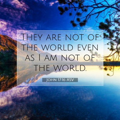 Picture 07 - John 17:16 ASV - They are not of the world even as I am not of the - Bible Verse Picture