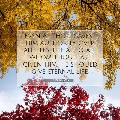 Picture 07 - John 17:2 ASV - even as thou gavest him authority over all flesh, - Bible Verse Picture