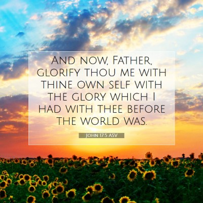 Picture 07 - John 17:5 ASV - And now, Father, glorify thou me with thine own - Bible Verse Picture