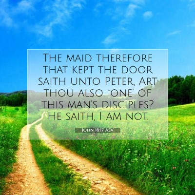 Picture 07 - John 18:17 ASV - The maid therefore that kept the door saith unto - Bible Verse Picture