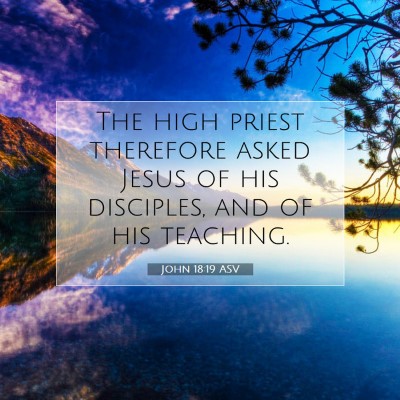 Picture 07 - John 18:19 ASV - The high priest therefore asked Jesus of his - Bible Verse Picture