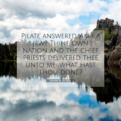 Picture 07 - John 18:35 ASV - Pilate answered, Am I a Jew? Thine own nation and - Bible Verse Picture