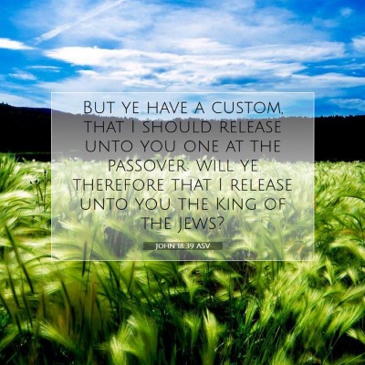 Picture 07 - John 18:39 ASV - But ye have a custom, that I should release unto - Bible Verse Picture