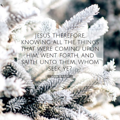 Picture 07 - John 18:4 ASV - Jesus therefore, knowing all the things that were - Bible Verse Picture