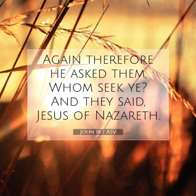 Picture 07 - John 18:7 ASV - Again therefore he asked them, Whom seek ye? And - Bible Verse Picture