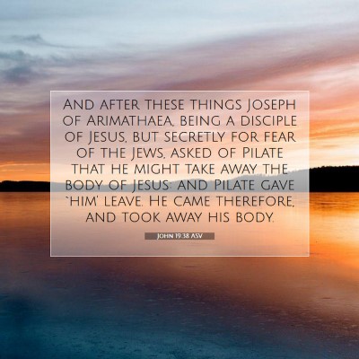 Picture 07 - John 19:38 ASV - And after these things Joseph of Arimathaea, - Bible Verse Picture