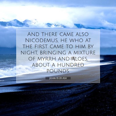 Picture 07 - John 19:39 ASV - And there came also Nicodemus, he who at the - Bible Verse Picture