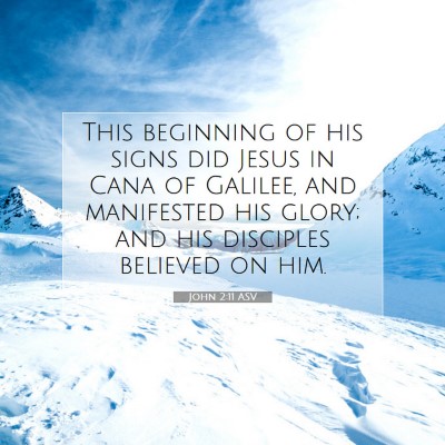 Picture 07 - John 2:11 ASV - This beginning of his signs did Jesus in Cana of - Bible Verse Picture