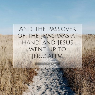 Picture 07 - John 2:13 ASV - And the passover of the Jews was at hand, and - Bible Verse Picture