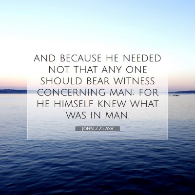 Picture 07 - John 2:25 ASV - and because he needed not that any one should - Bible Verse Picture