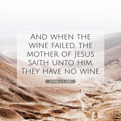 Picture 07 - John 2:3 ASV - And when the wine failed, the mother of Jesus - Bible Verse Picture