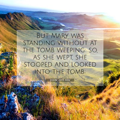 Picture 07 - John 20:11 ASV - But Mary was standing without at the tomb - Bible Verse Picture