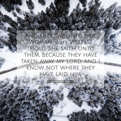 Picture 07 - John 20:13 ASV - And they say unto her, Woman, why weepest thou? - Bible Verse Picture
