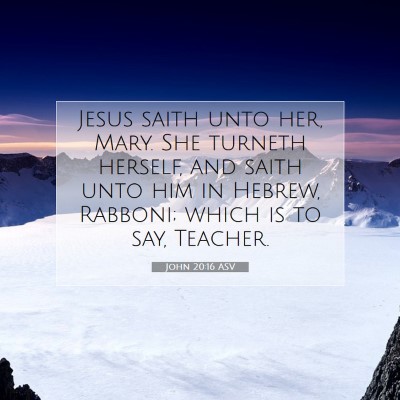 Picture 07 - John 20:16 ASV - Jesus saith unto her, Mary. She turneth herself, - Bible Verse Picture