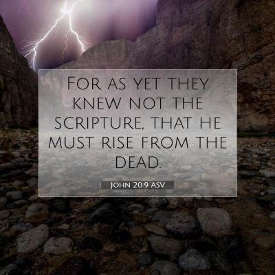 Picture 07 - John 20:9 ASV - For as yet they knew not the scripture, that he - Bible Verse Picture