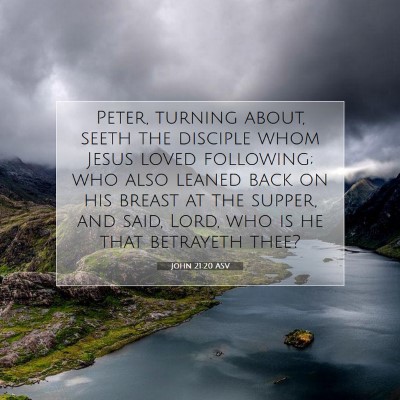 Picture 07 - John 21:20 ASV - Peter, turning about, seeth the disciple whom - Bible Verse Picture