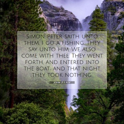Picture 07 - John 21:3 ASV - Simon Peter saith unto them, I go a fishing. They - Bible Verse Picture