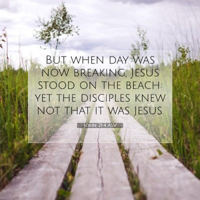 Picture 07 - John 21:4 ASV - But when day was now breaking, Jesus stood on the - Bible Verse Picture