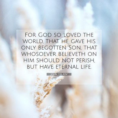 Picture 07 - John 3:16 ASV - For God so loved the world, that he gave his only - Bible Verse Picture