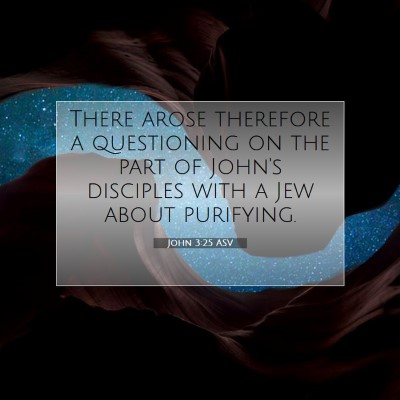 Picture 07 - John 3:25 ASV - There arose therefore a questioning on the part - Bible Verse Picture
